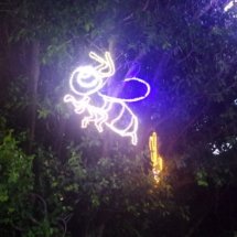 A bee made of line lights in a tree.
