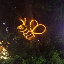 A bee made of line lights in a tree.