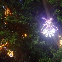 An insect made of line lights in a tree.