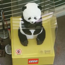 Taipei Zoo: A LEGO panda structure in a case.