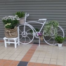 A white bicycle used as a planter.