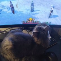Lucy tries to play a video game by staring at the monitor.